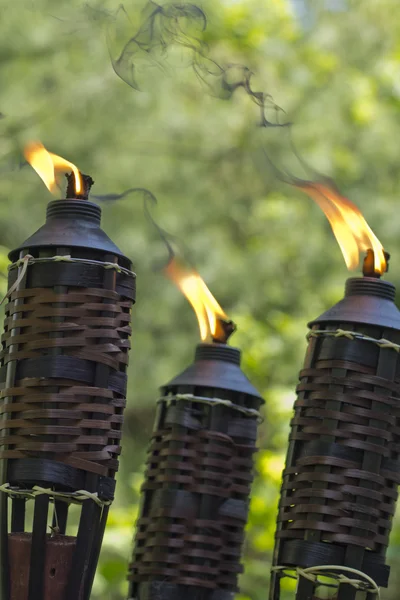 Bambus-Citronella-Fackel — Stockfoto