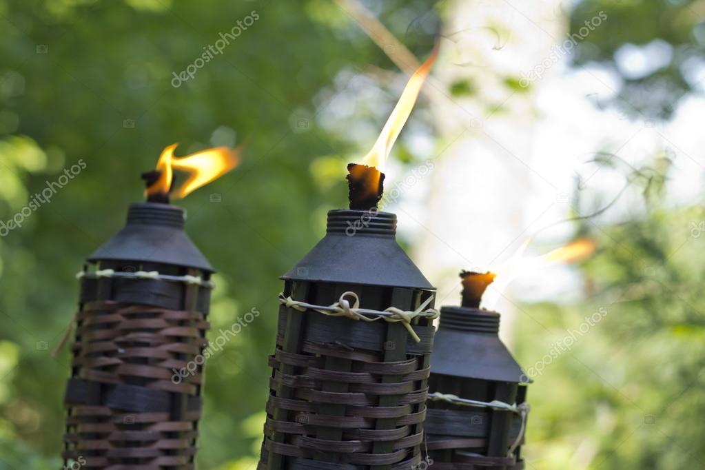 Antorcha de citronela de bambú fotografía de stock © ezumeimages