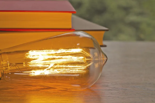 Edison Lightbulb Books — Stock fotografie