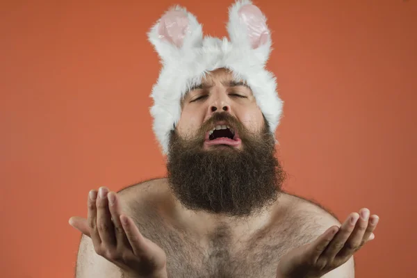 Pleading Bunny Man — Stock Photo, Image