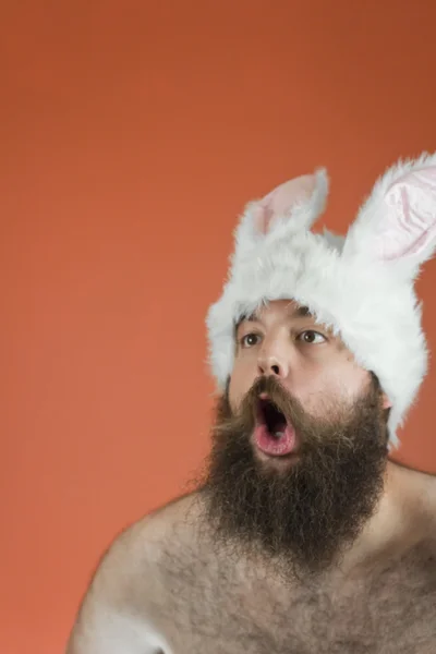 Amazed Bunny Man — Stockfoto