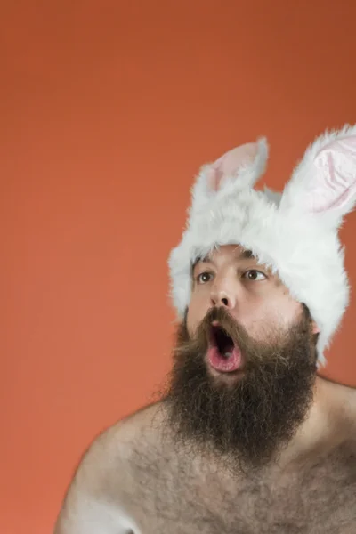 Amazed Bunny Man — Stock Photo, Image