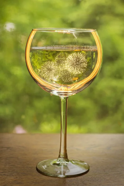 White Wine Celebration