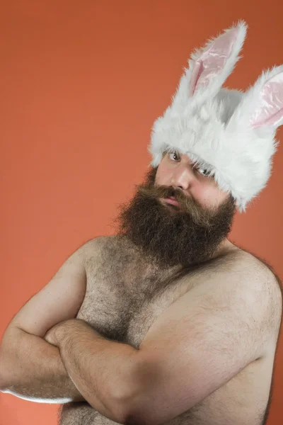 Confident Bunny Man Zdjęcie Stockowe