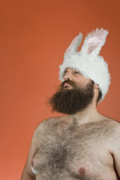 Confident Bunny Man Obrazy Stockowe bez tantiem
