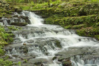 Misty Woodland şelale 