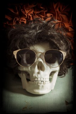 Serin Skull