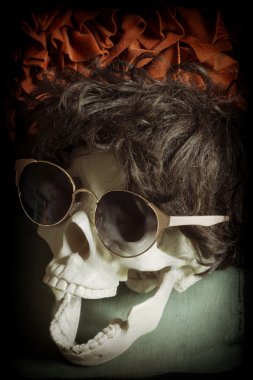 Serin Skull