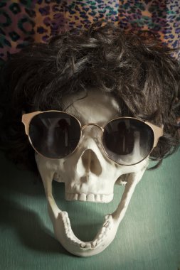 Serin Skull