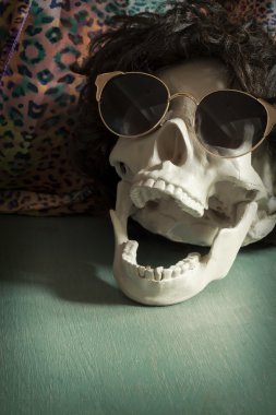 Serin Skull