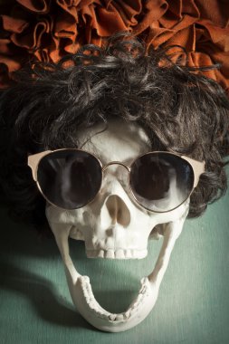 Serin Skull