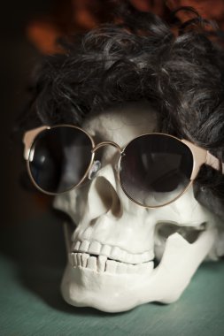 Serin Skull