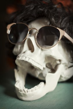 Serin Skull
