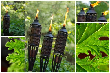 Bambu Citronella meşale