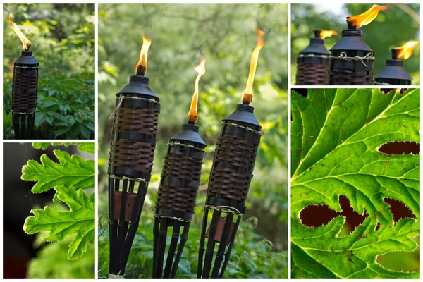 Bambus-Citronella-Fackel — Stockfoto