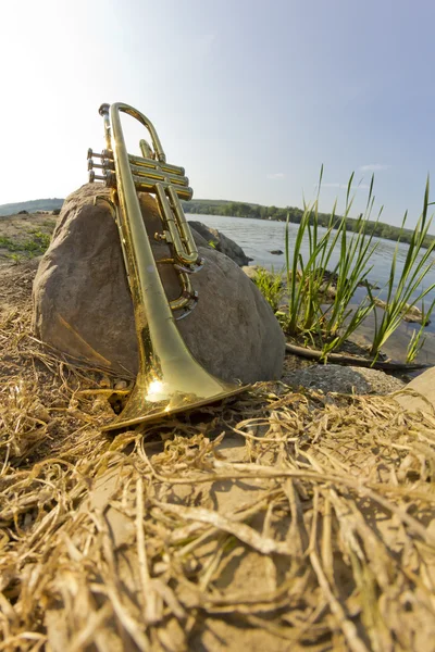 Lago de trompete fisheye — Fotografia de Stock
