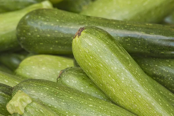 Courgettes vertes biologiques — Photo