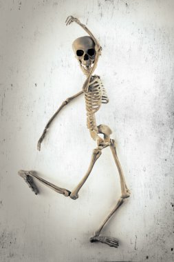 iskelet dansıesqueleto bailando