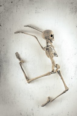 iskelet dansıesqueleto bailando