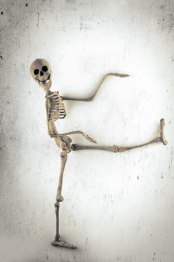 iskelet dansıesqueleto bailando