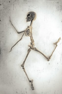 iskelet dansıesqueleto bailando