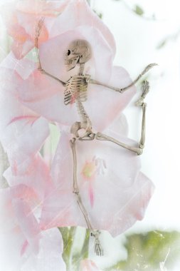 Dancing Skeleton Flowers clipart