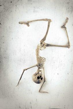 iskelet dansıesqueleto bailando