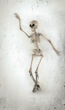 iskelet dansıesqueleto bailando