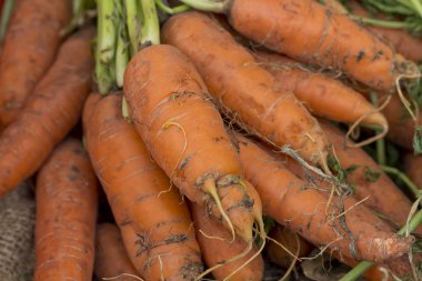 Çiftçiler havuç Pazar