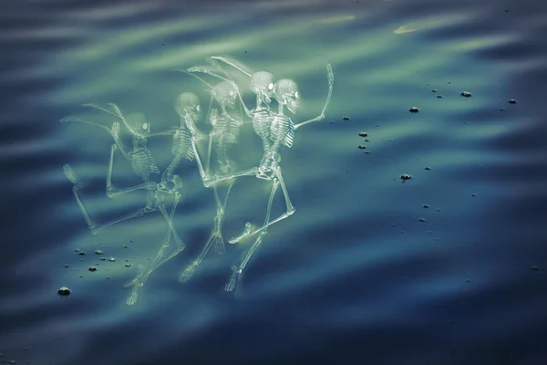 Танцующая вода скелета — стоковое фото