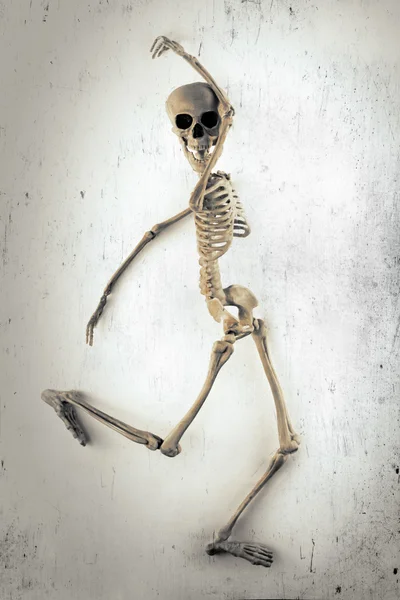 iskelet dansıesqueleto bailando