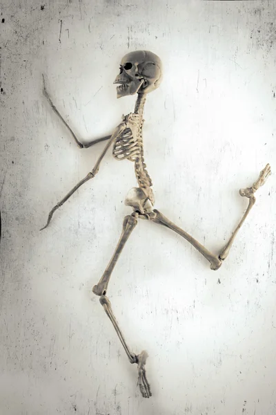 iskelet dansıesqueleto bailando