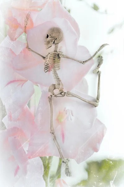 Dansende Skeleton bloemen — Stockfoto