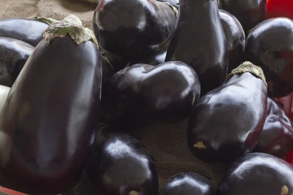 Aubergine close-up — Stockfoto