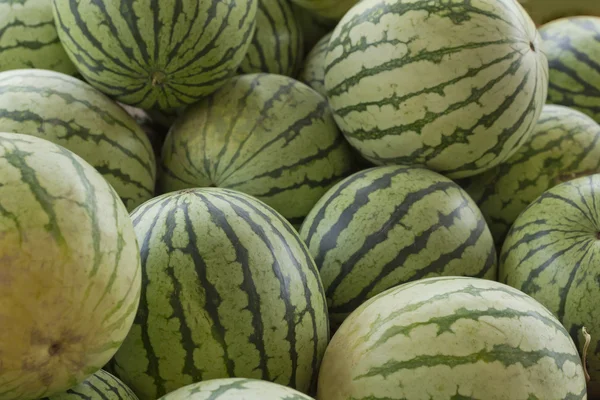 Landmænd markedsfører vandmelon - Stock-foto