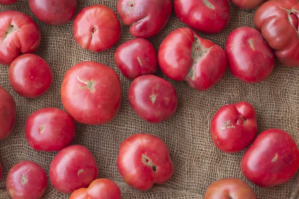 Erfstuk tomaten — Stockfoto