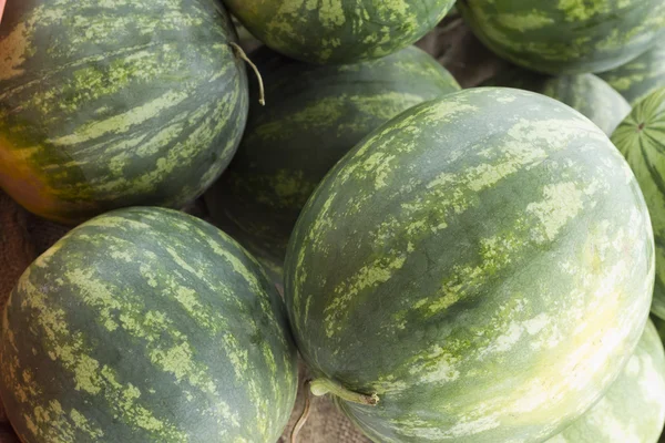 Farmers Market Watermelon — Stock Photo, Image