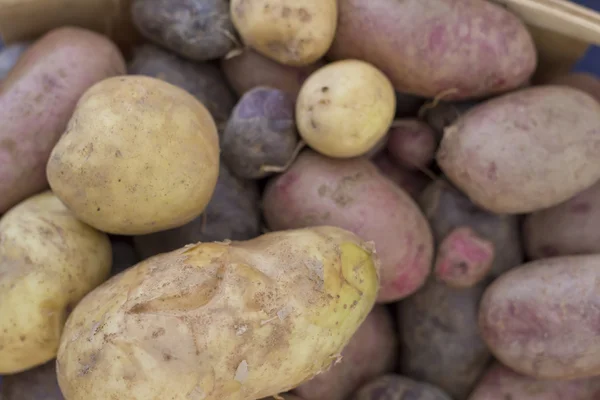 Agricultores comercializar batatas — Fotografia de Stock