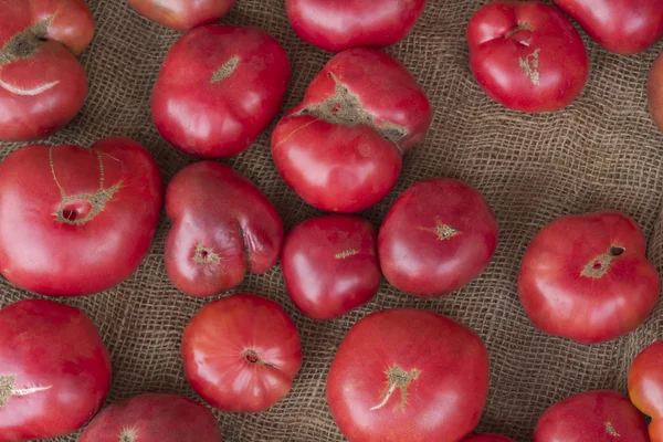 Erfstuk tomaten — Stockfoto