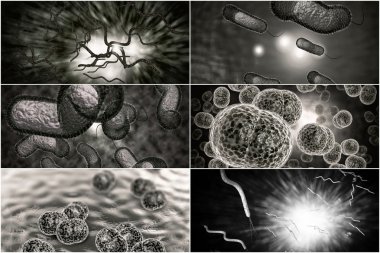 Bacteria Infection Collage clipart