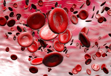 Kırmızı Kan Hücreleri