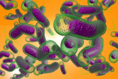 Cholera Bacteria clipart