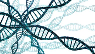 DNA iplikleri