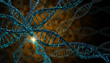 DNA iplikleri