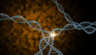DNA iplikleri