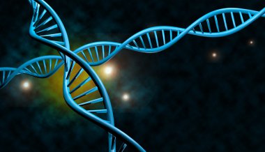 DNA iplikleri