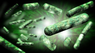 E.Coli bakteri hücreleri