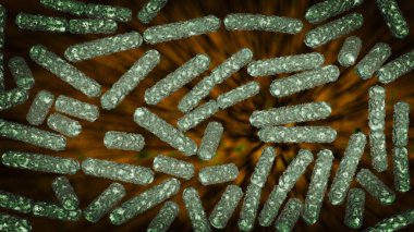 E.Coli bakteri hücreleri