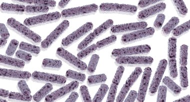E.Coli Bacteria Cells clipart
