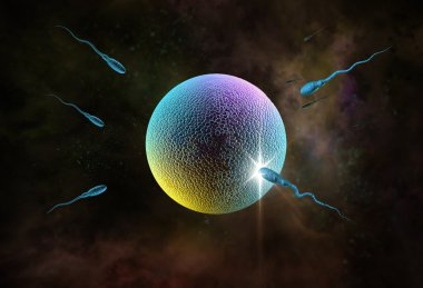 sperm ve yumurta